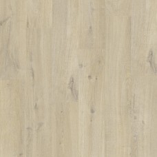 Sand Beach Oak